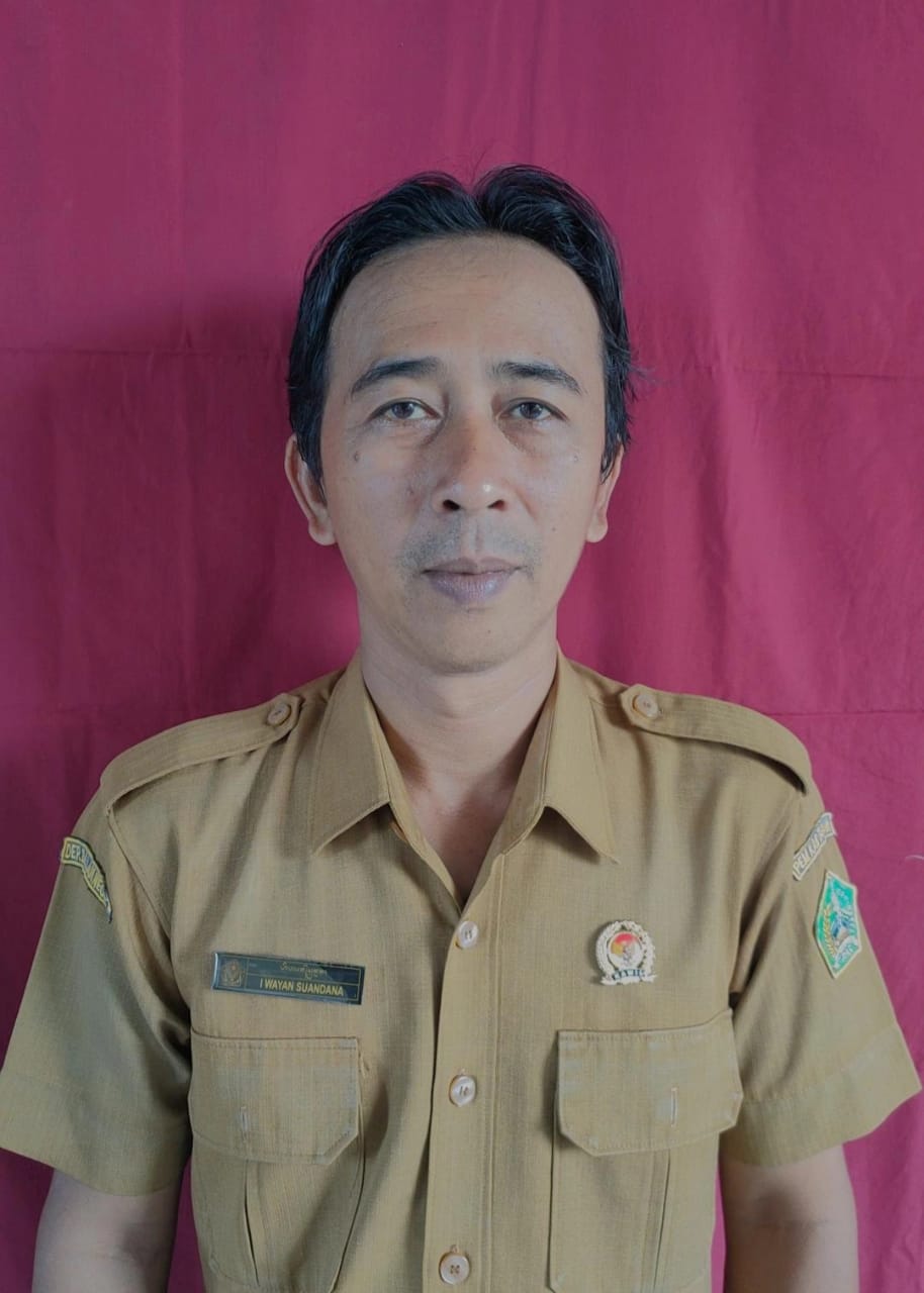 I WAYAN HADIYONO